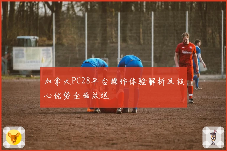 加拿大PC28平台操作体验解析及核心优势全面放送