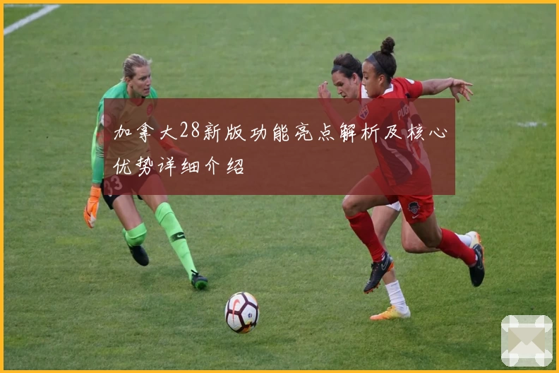 加拿大28新版功能亮点解析及核心优势详细介绍