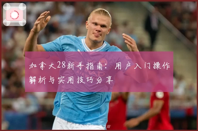 加拿大28新手指南：用户入门操作解析与实用技巧分享