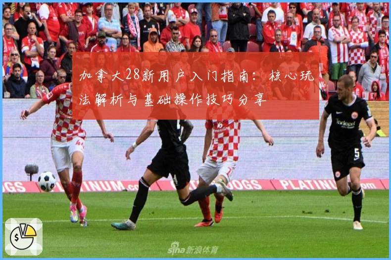 加拿大28新用户入门指南：核心玩法解析与基础操作技巧分享
