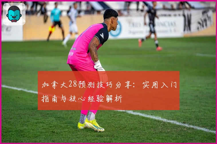 加拿大28预测技巧分享：实用入门指南与核心经验解析