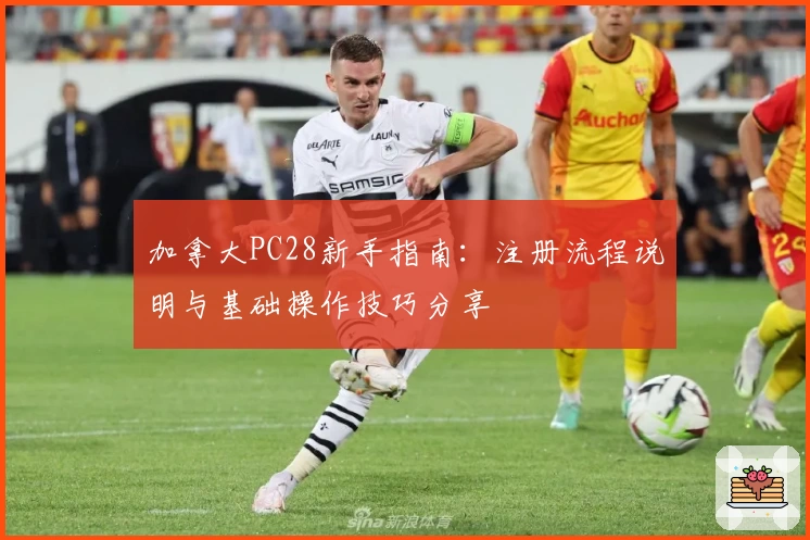 加拿大PC28新手指南：注册流程说明与基础操作技巧分享