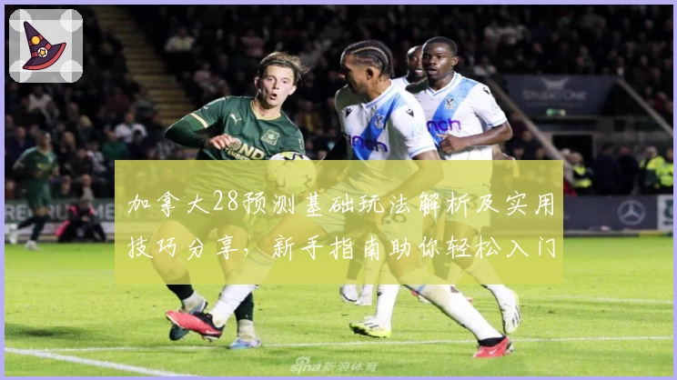 加拿大28预测基础玩法解析及实用技巧分享,新手指南助你轻松入门