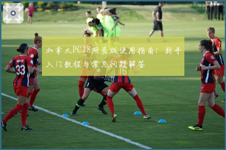 加拿大PC28网页版使用指南：新手入门教程与常见问题解答