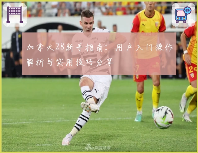 加拿大28新手指南：用户入门操作解析与实用技巧分享